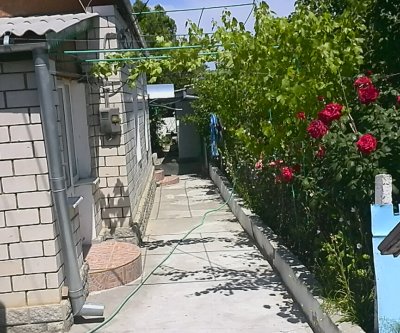 Галина